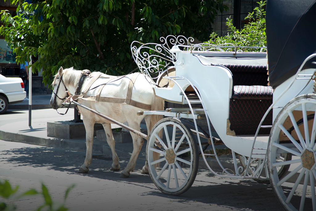 Affordable experiences in Gyumri